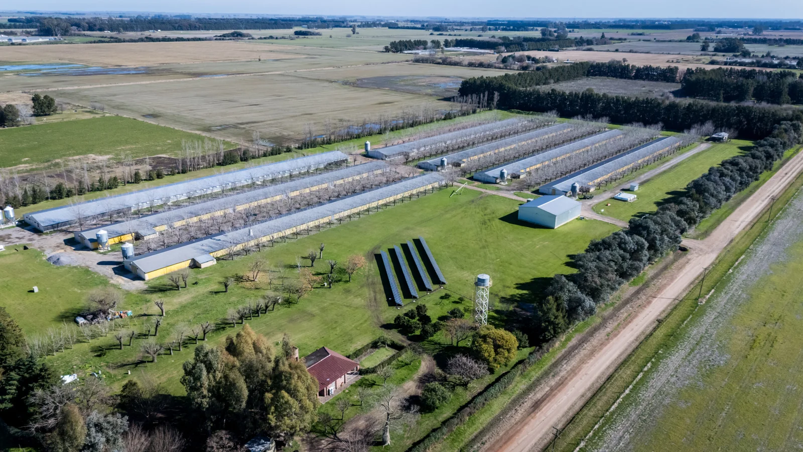 PANELES SOLARES PARA AGROINDUSTRIA